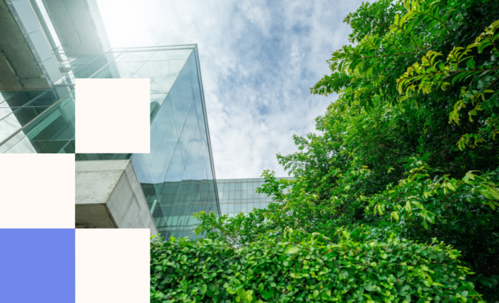 Practical ways to lower your website’s carbon footprint