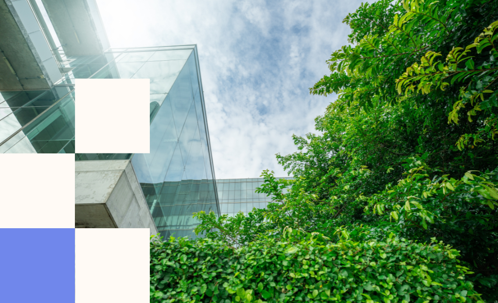 Practical ways to lower your website’s carbon footprint